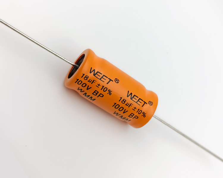 WMM 18uF 100V BP Alum.Elec.Cap.